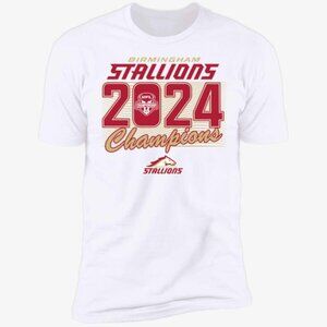 Birmingham Stallions 2024 UFL Champions Football Fan Gift Graphic T-Shirt 159
